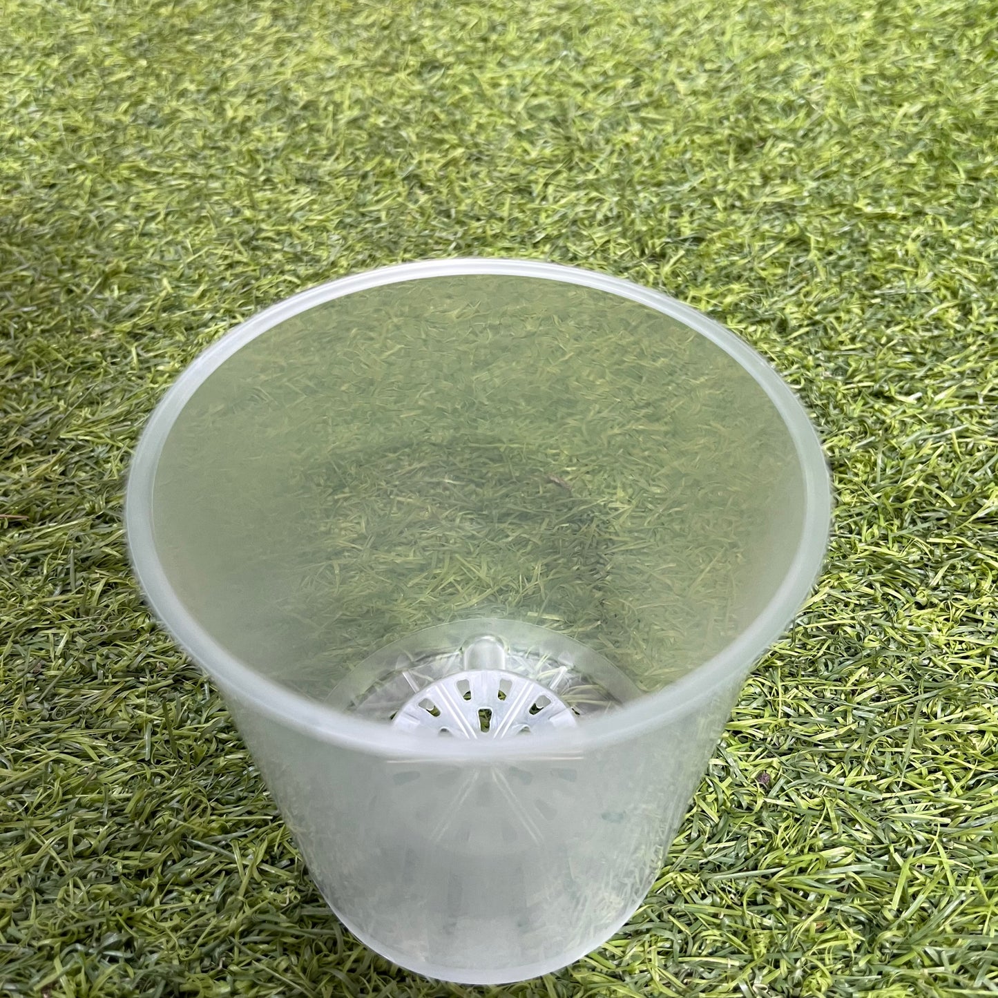 עציץ מגדלים שקוף במגוון גדלים