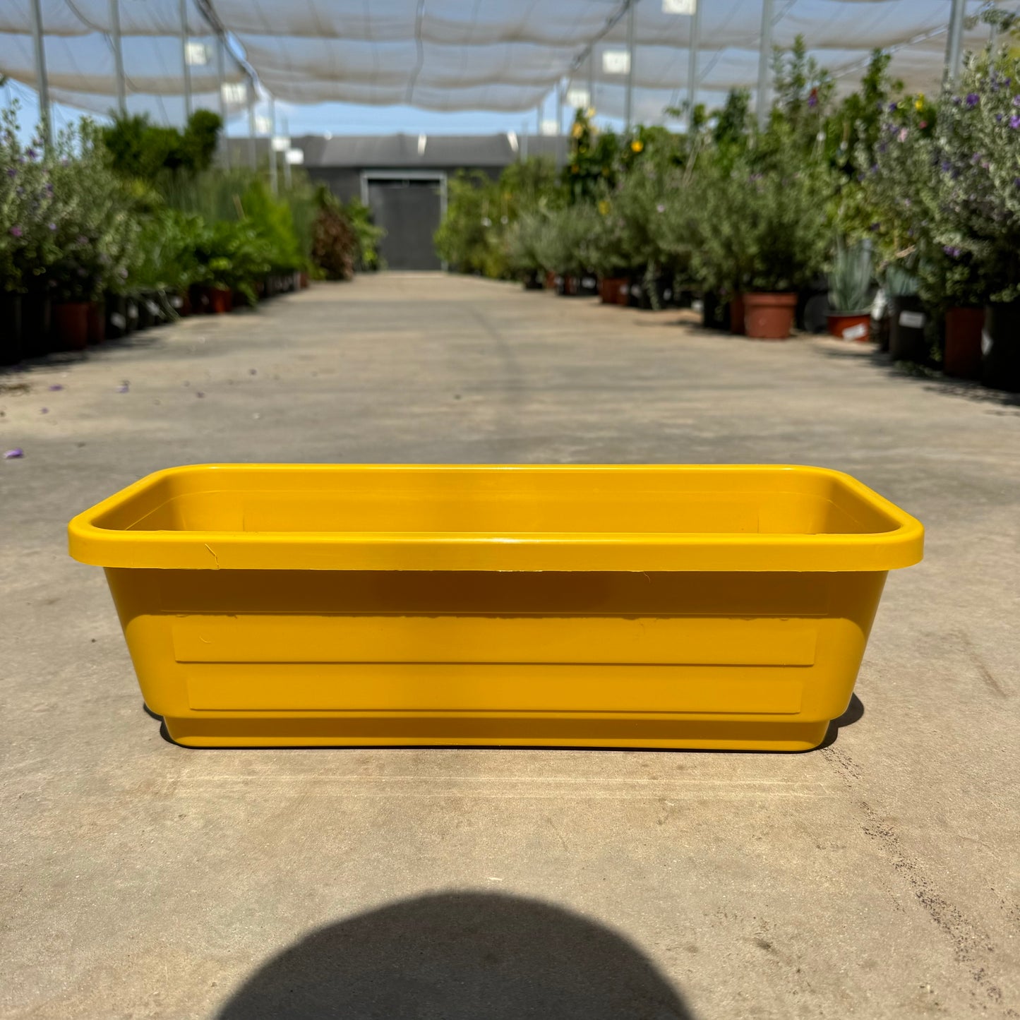 40 / 60 אדנית בייסיק מעוצבת רוחב